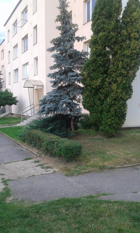 Apartman Ortenova 74 クトナー・ホラ エクステリア 写真